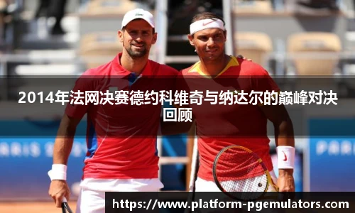 2014年法网决赛德约科维奇与纳达尔的巅峰对决回顾