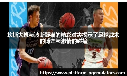 坎斯大班与波斯野猫的精彩对决揭示了足球战术的博弈与激情的碰撞